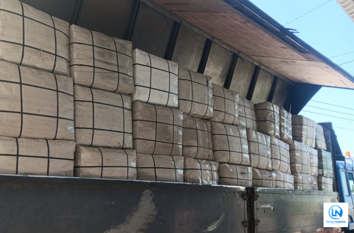 BNN Gagalkan Penyelundupan 3,37 Ton Ganja Diduga dari Thailand, Libatkan Jaringan Lintas Negara