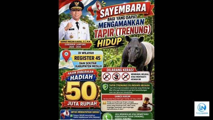 Unik! Bupati Mesuji Gelar Sayembara Tangkap Tapir Hidup-Hidup, Hadiah Rp50 Juta