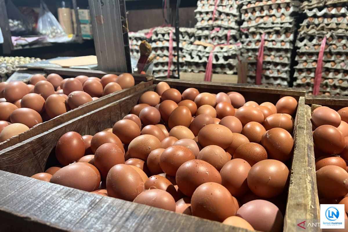Harga Telur Naik ke Rp25.000/kg, Bawang Merah Turun, Cabai Rawit Masih Mahal