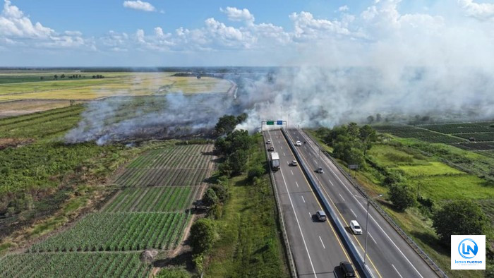 Kebakaran Hutan dan Lahan Meluas di Sumatra Selatan, Lebih dari 60 Hektare Lahan di Ogan Ilir Hangus Terbakar