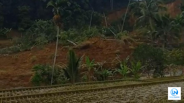 Gempa Sukabumi Diduga Picu Longsor di Tasikmalaya, Dua Hektare Sawah Tertimbun Material Tanah