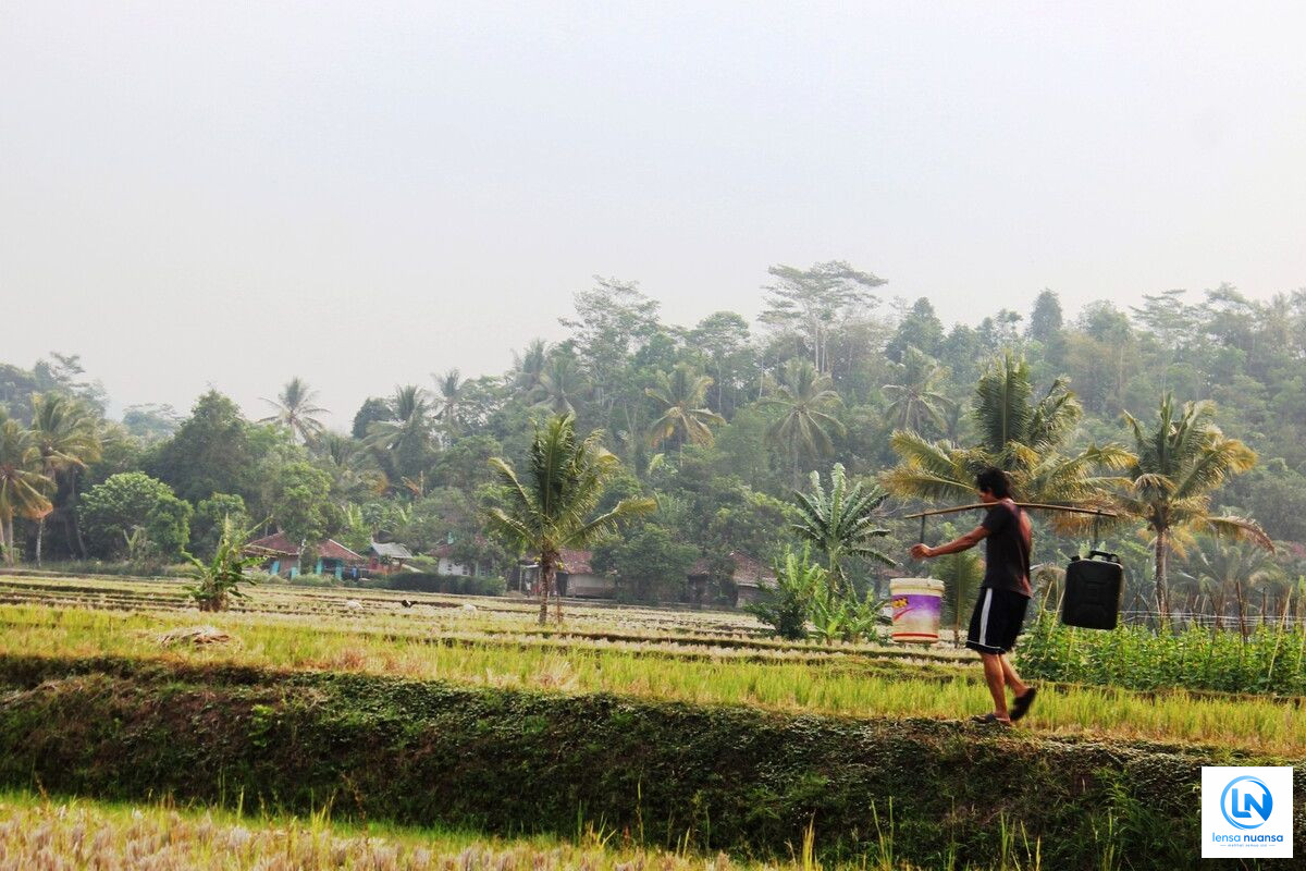 Kemarau Picu Krisis Air Bersih di Cianjur, Warga Rela Rogoh Kocek Rp900 Ribu per Bulan hingga Memilih Pindah Rumah